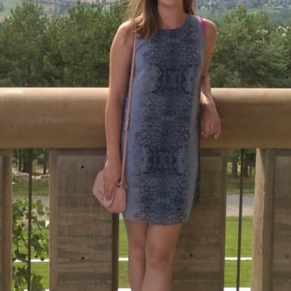 Monk&Lou shift dress XS. Great condition.